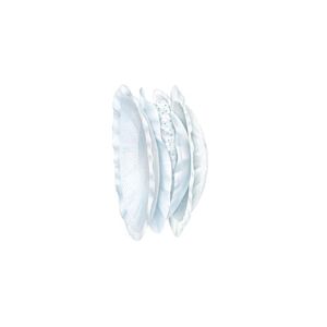 Discos Absorventes Antibacterianos 30 unidades - Chicco